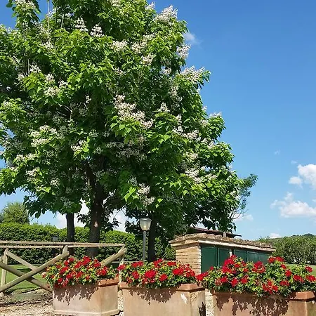 Séjour à la ferme Miralduolo Ponte San Giovanni