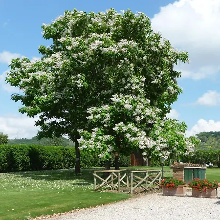 Alloggio per agriturismo Miralduolo Ponte San Giovanni