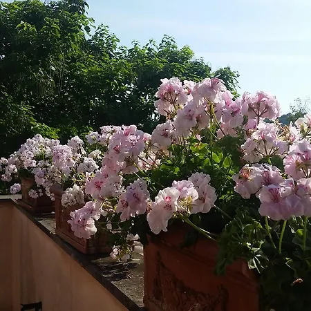 Miralduolo * פונטה סן ג'ובאני